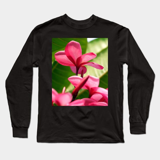 plumeria-flowers-frangipani-floral-red-petals-shirtyshirto-45 Long Sleeve T-Shirt by Shirty.Shirto